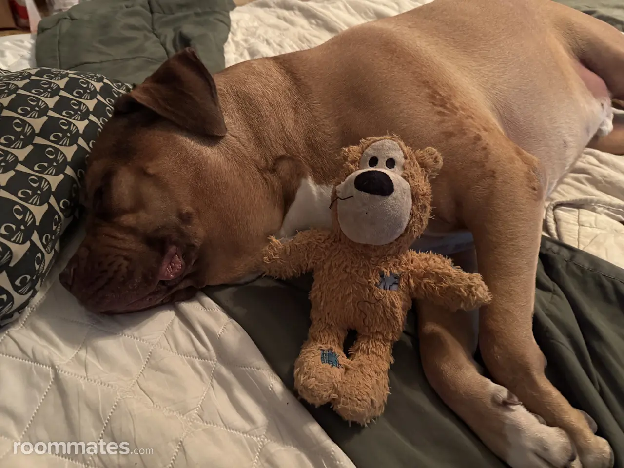 Profile photo 2 of 3