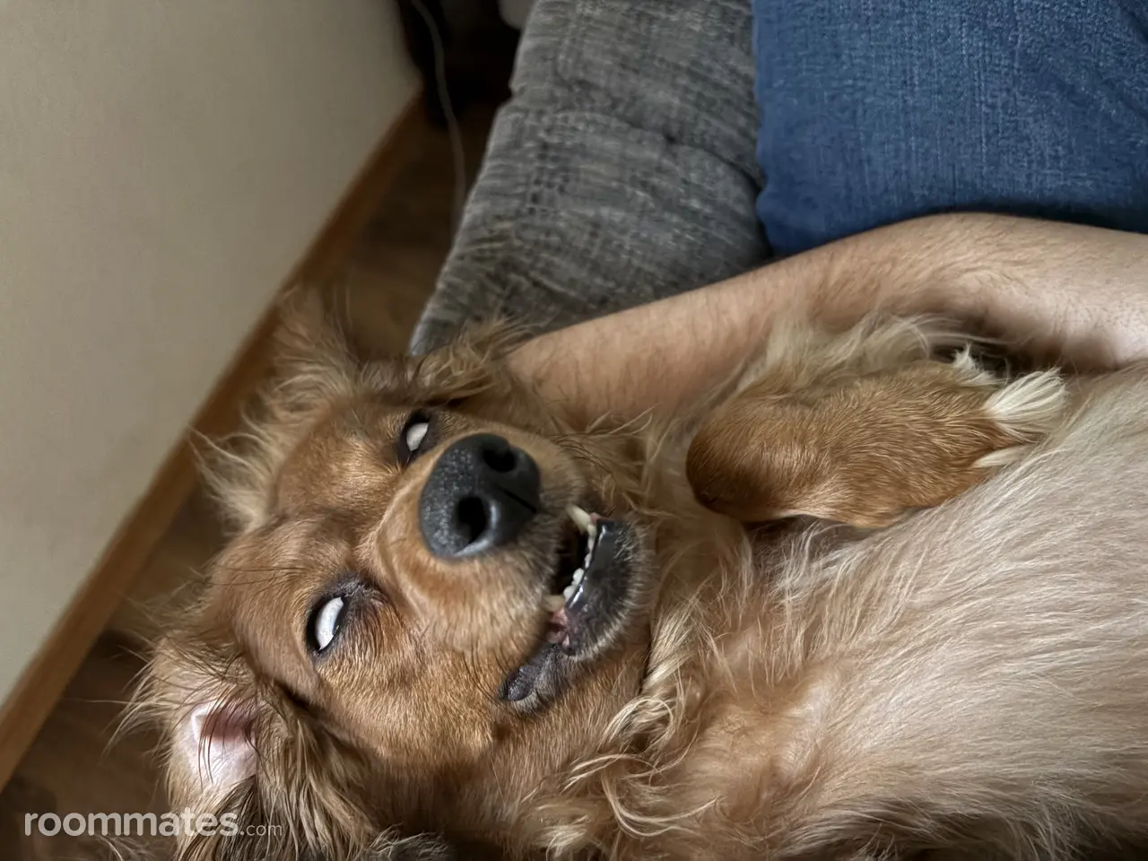 Profile photo 3 of 3