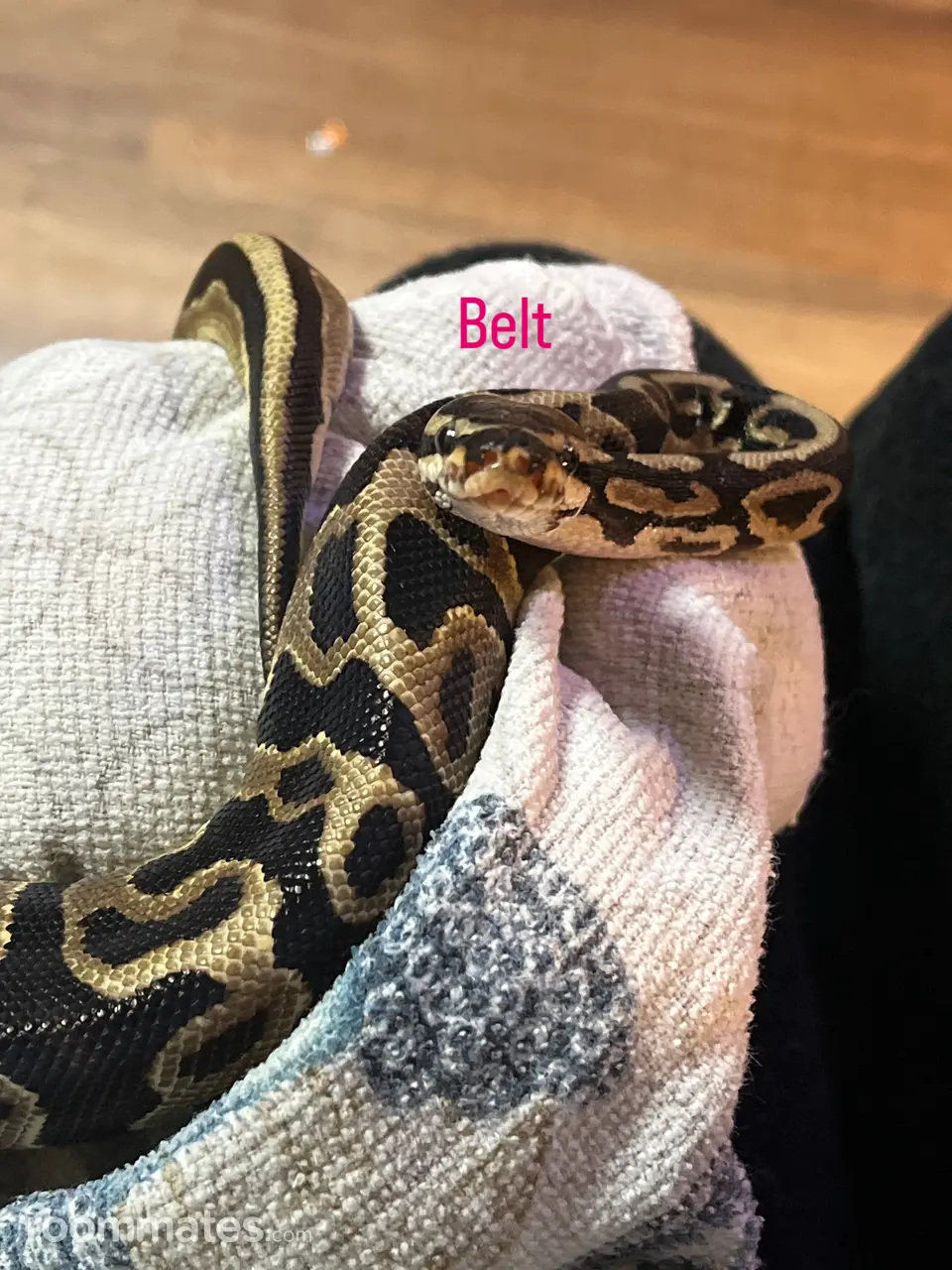 Profile photo 2 of 3