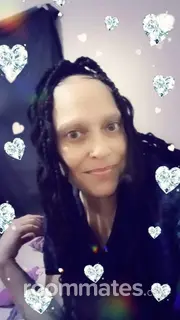 Roommate looking Toledo, OH, $600