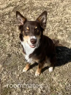 Room for rent in Lakeland, FL $800, house