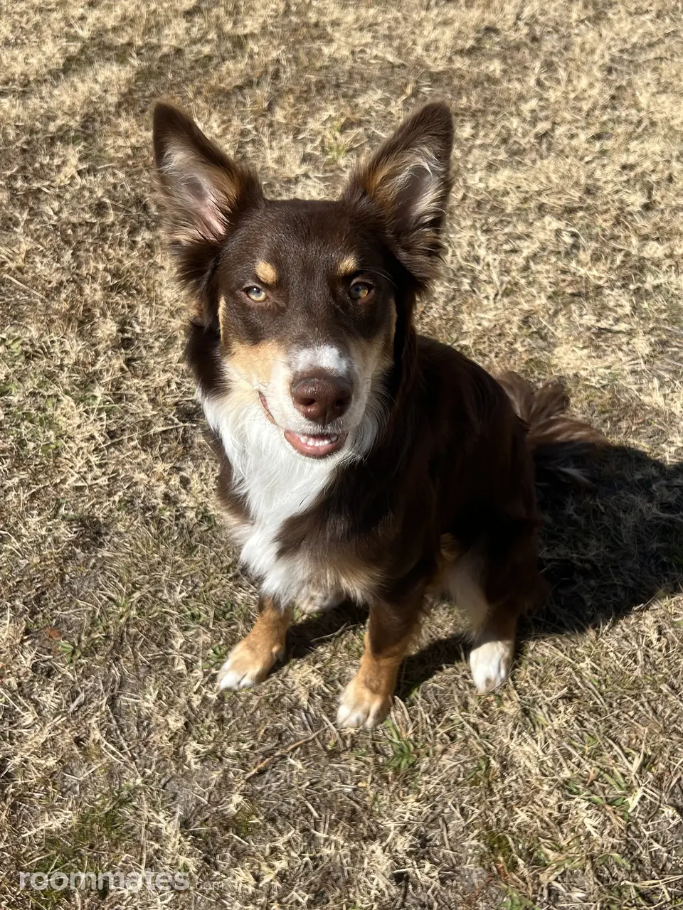 Profile photo 10 of 11