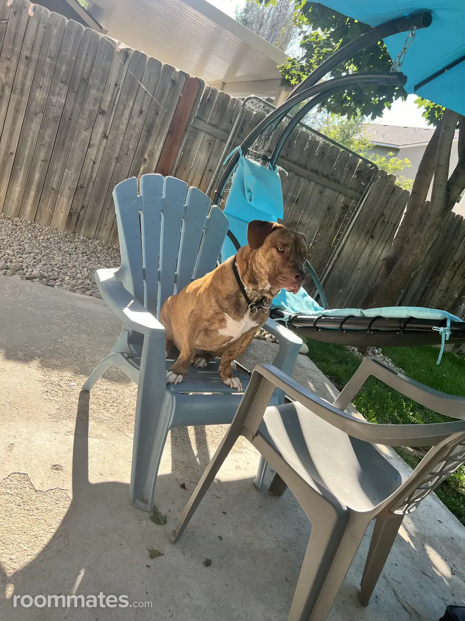 Profile photo 6 of 7