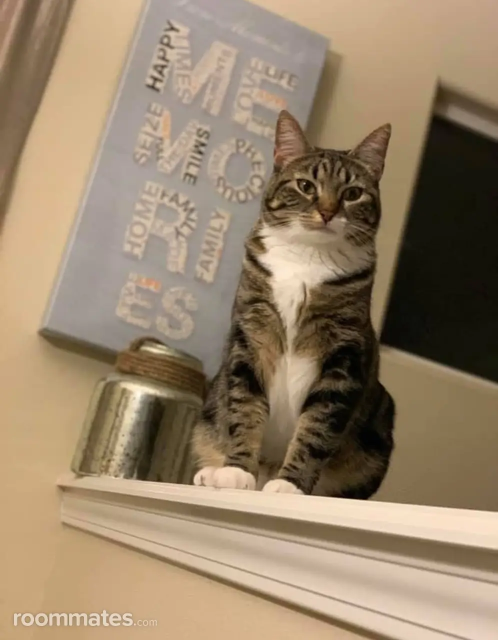 Profile photo 5 of 7