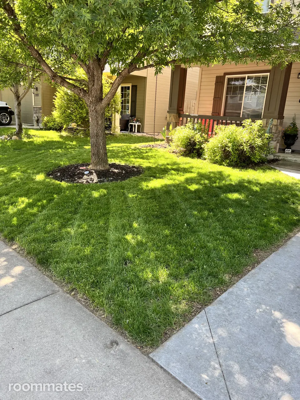 Profile photo 1 of 7