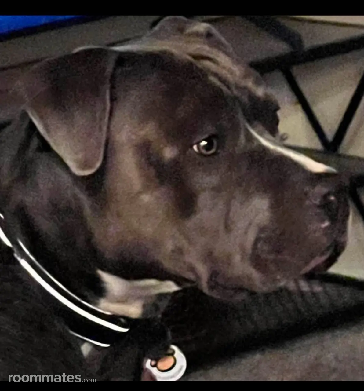 Profile photo 4 of 7