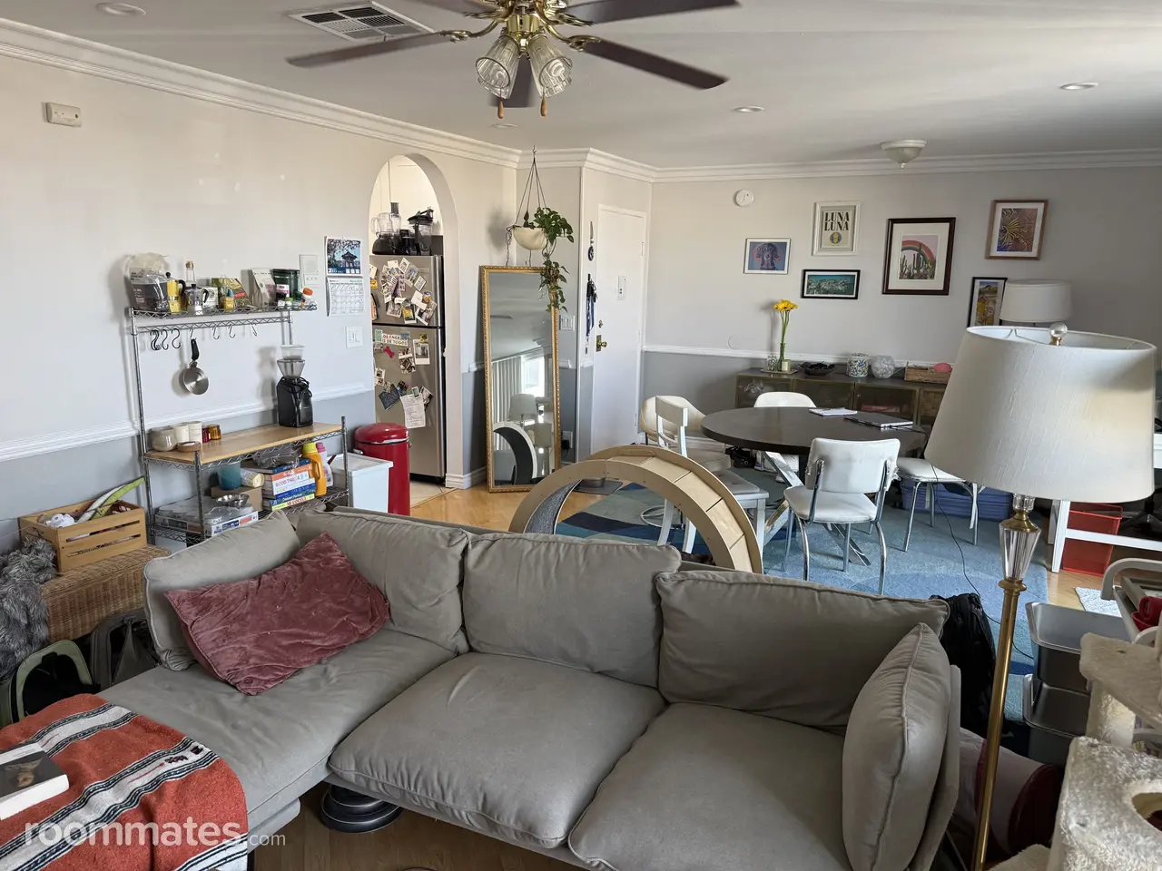 Profile photo 7 of 14