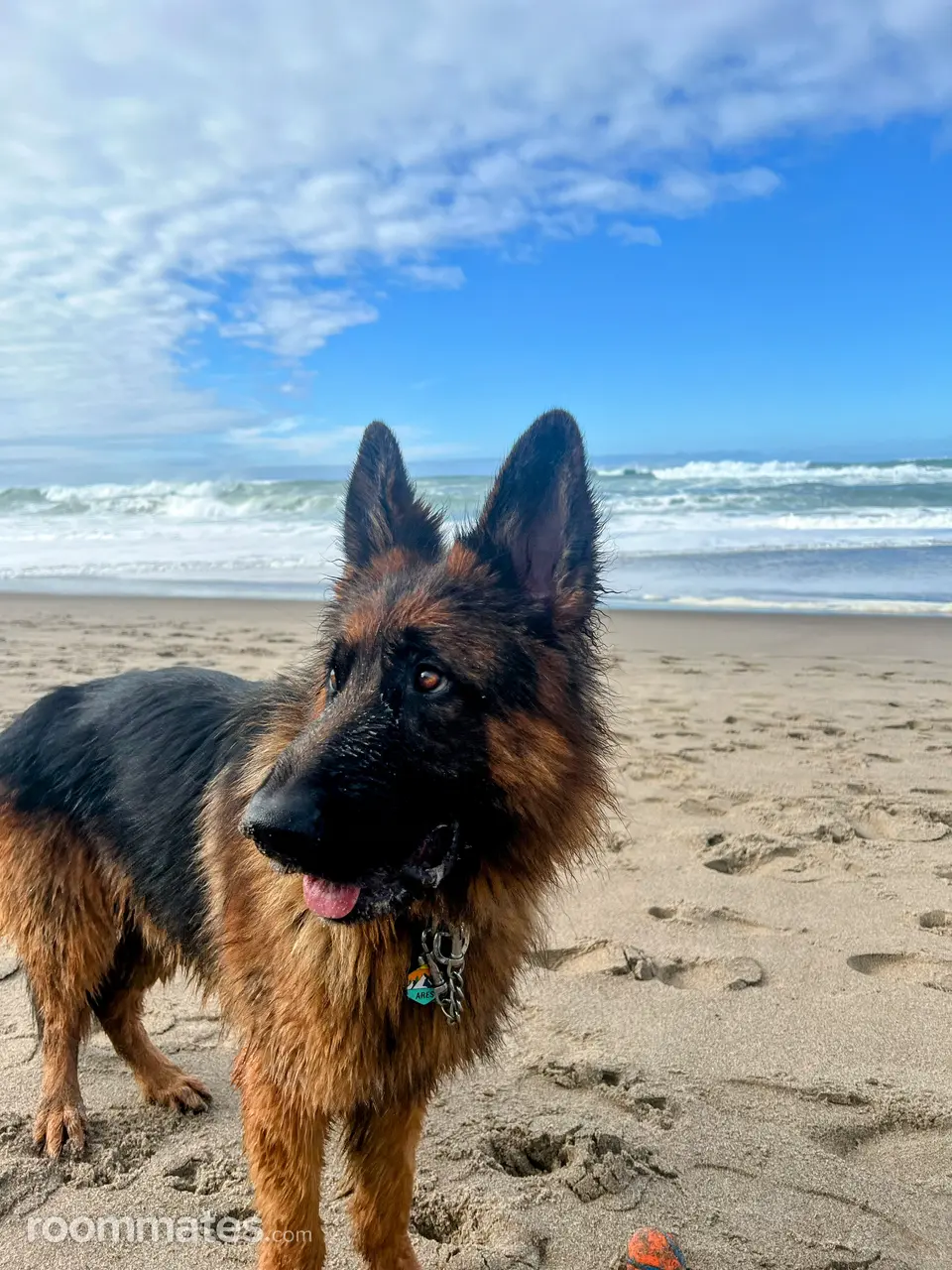 Profile photo 7 of 9