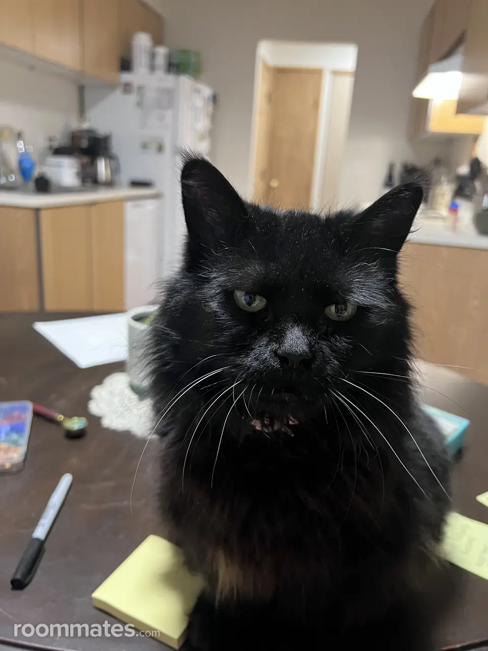 Profile photo 8 of 9