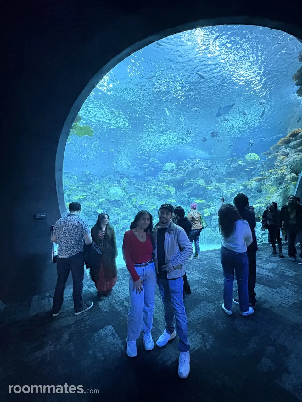 Profile photo 1 of 1