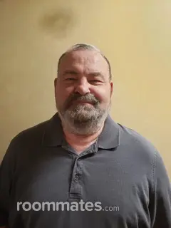 Roommate looking Albuquerque, NM, $700