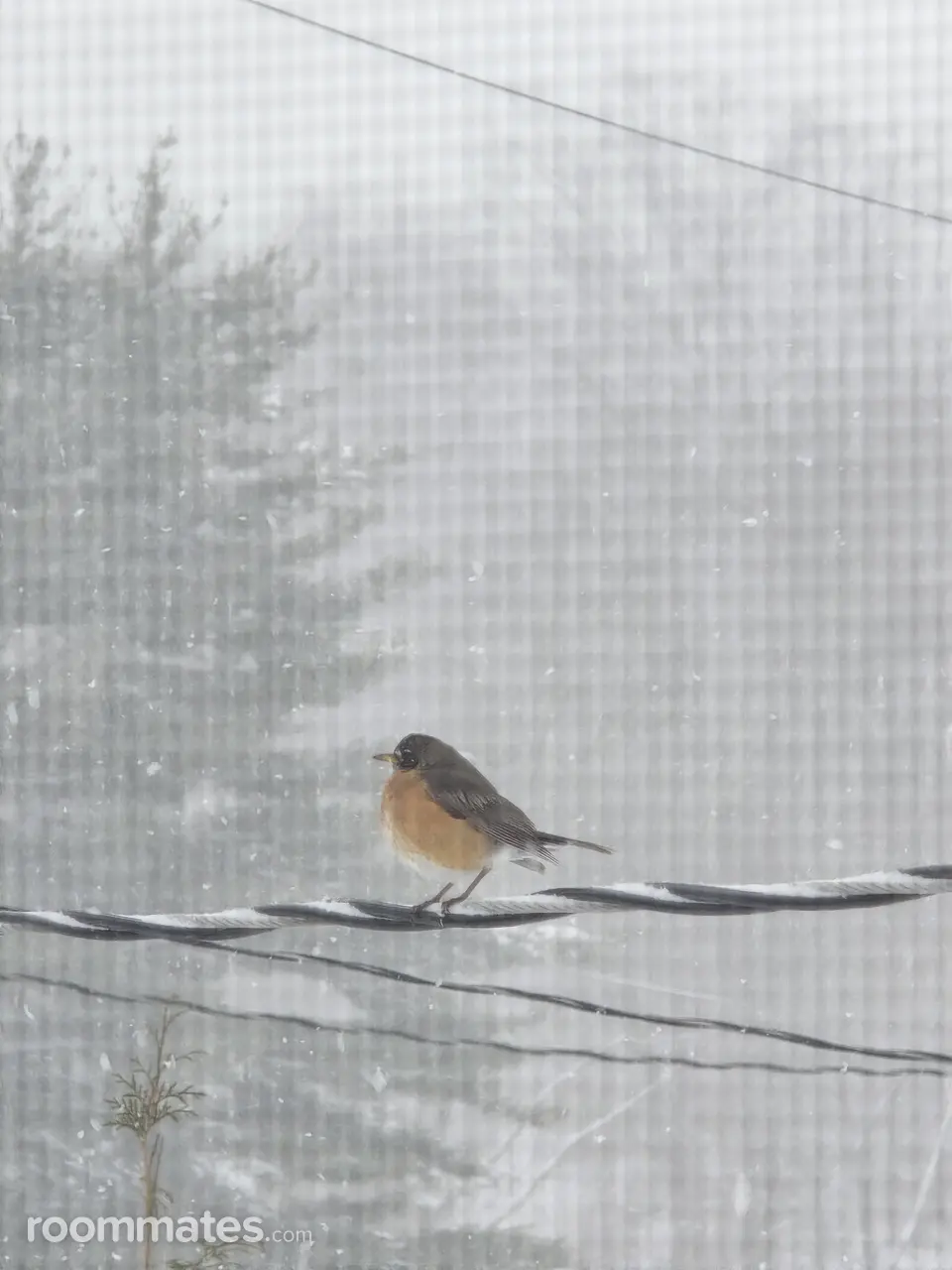 Profile photo 1 of 1