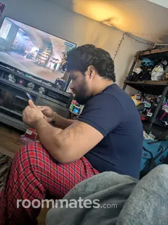 Roommate looking Springfield, MA, $500