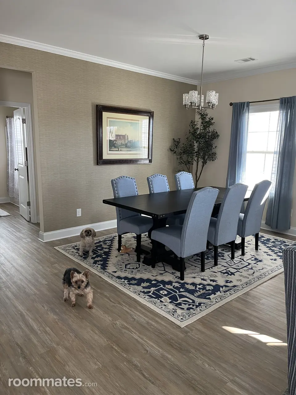 Profile photo 3 of 6