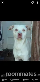 Roommate looking Sanford, NC, $600