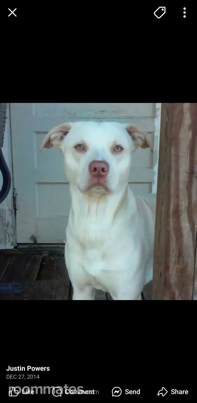 Profile photo 1 of 1