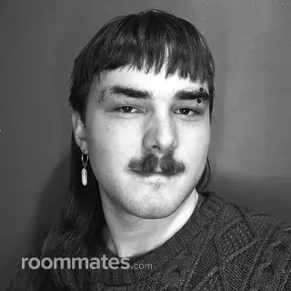 Roommate looking Lansing, MI, $700