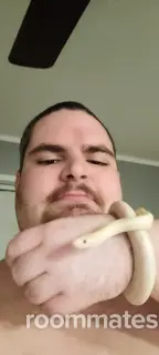 Roommate looking Utica, MI, $1000