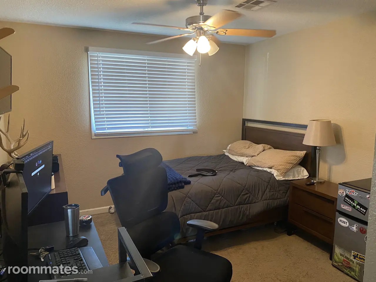 Profile photo 4 of 5