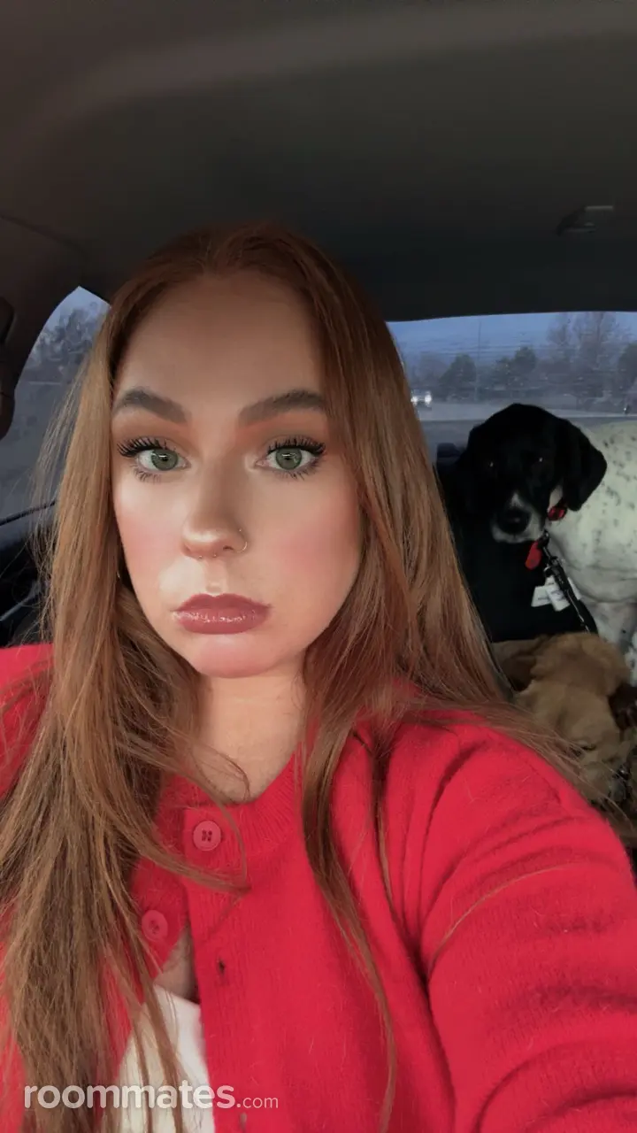 Profile photo 4 of 4