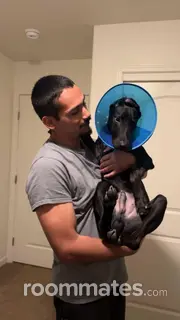 Roommate looking Bakersfield, CA, $800