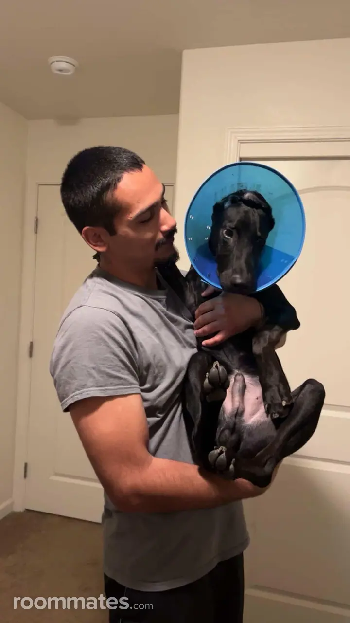 Profile photo 1 of 1