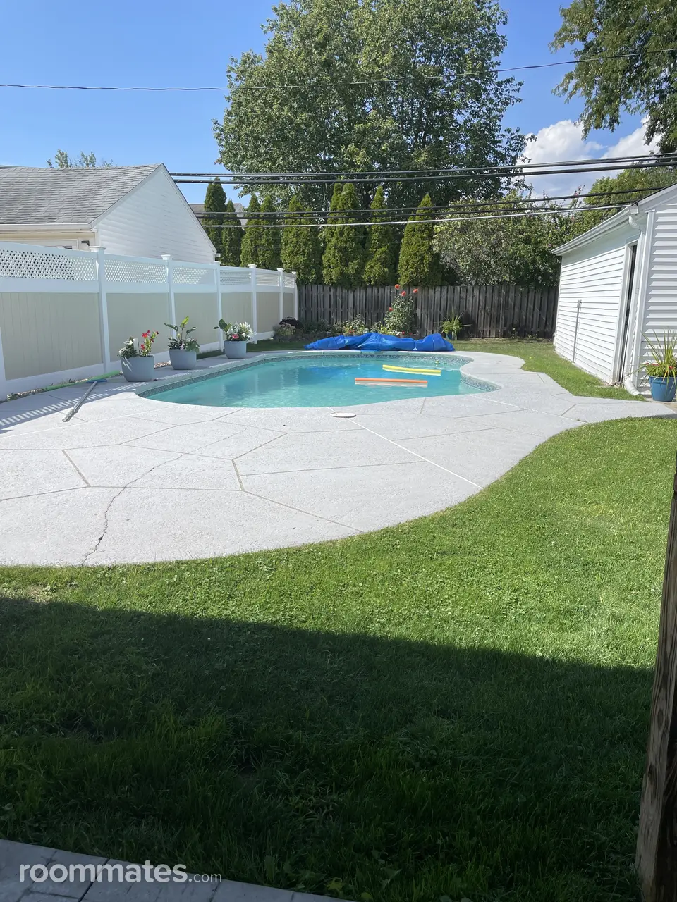 Profile photo 10 of 11