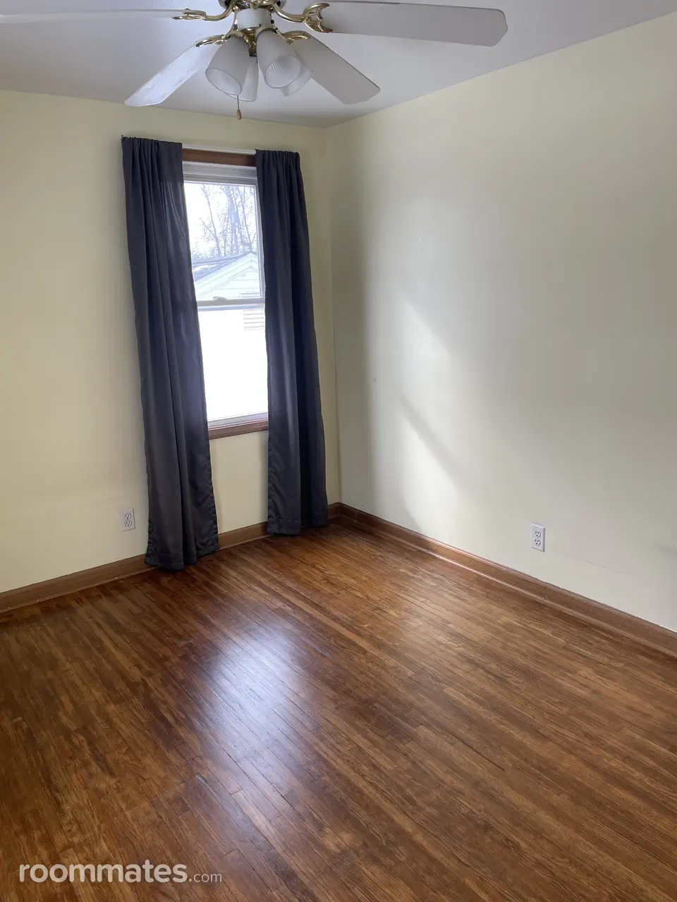 Profile photo 4 of 11