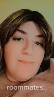 Roommate looking Fayetteville, AR, $600