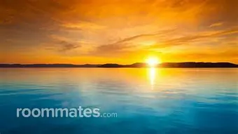 Room for rent in Columbia, MO $575, apartment