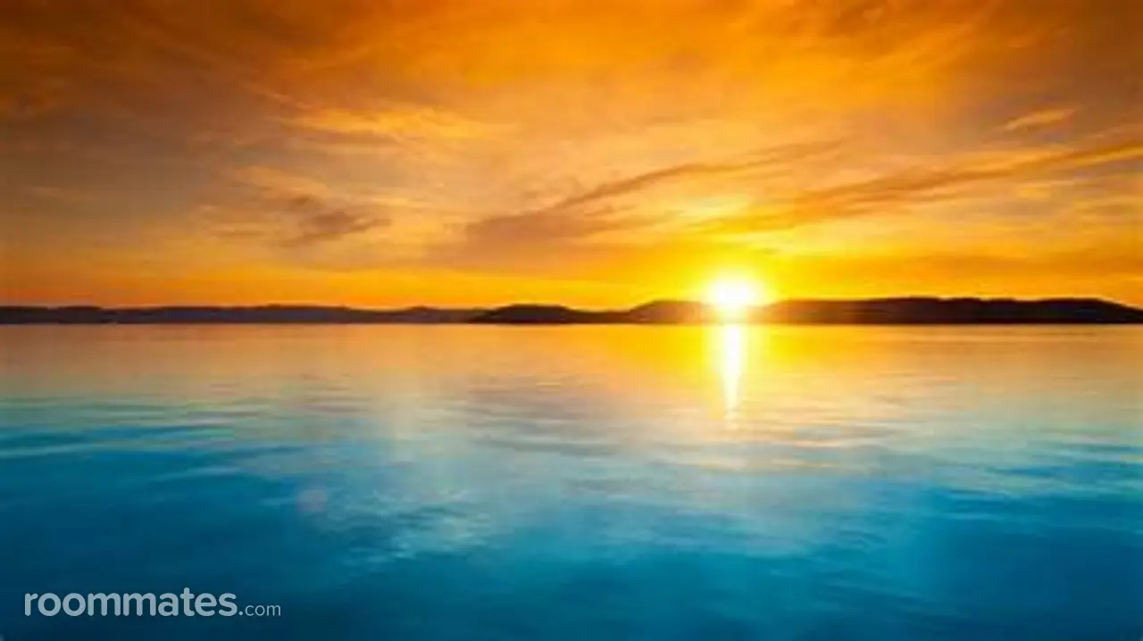 Profile photo 1 of 2