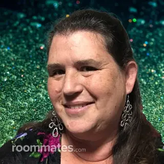 Roommate looking Melbourne, FL, $1200