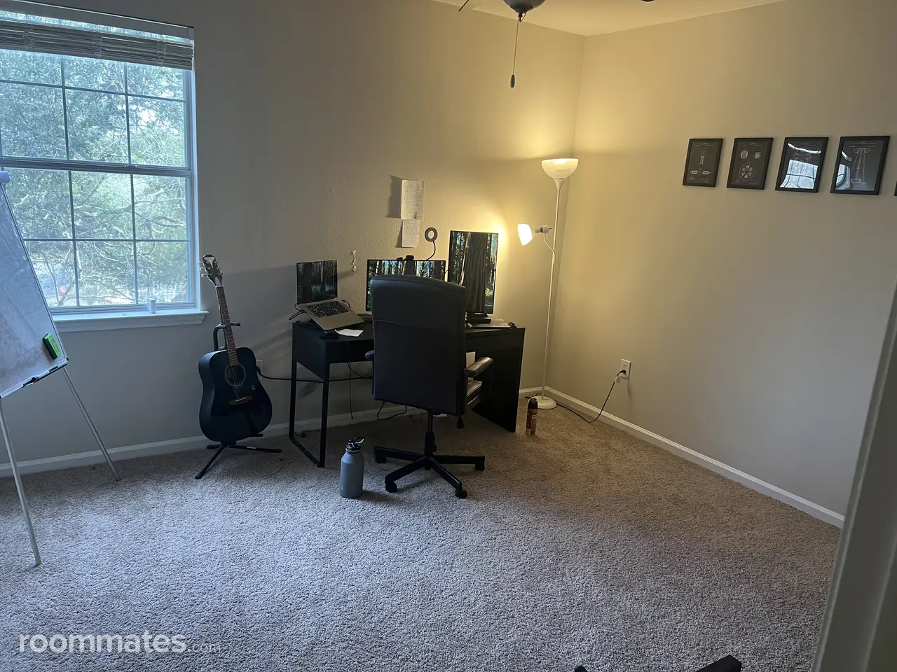 Profile photo 4 of 13