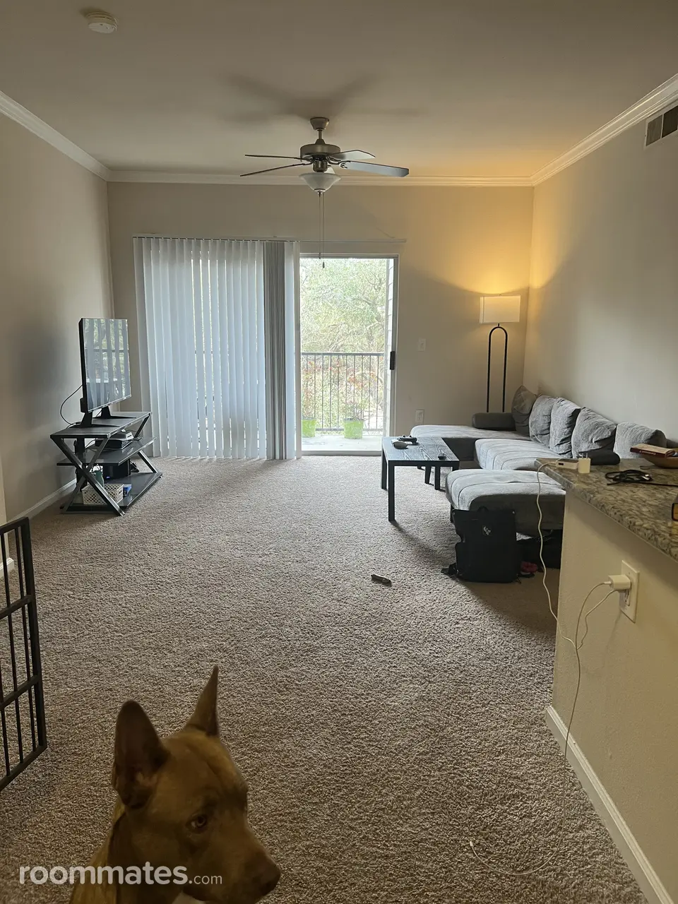 Profile photo 2 of 13