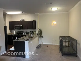 Room for rent in Austin, TX $700, apartment