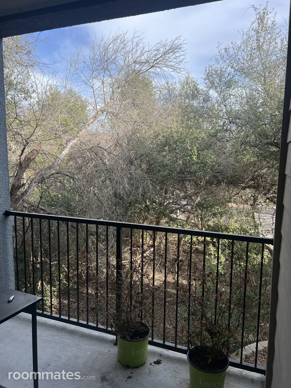 Profile photo 3 of 13