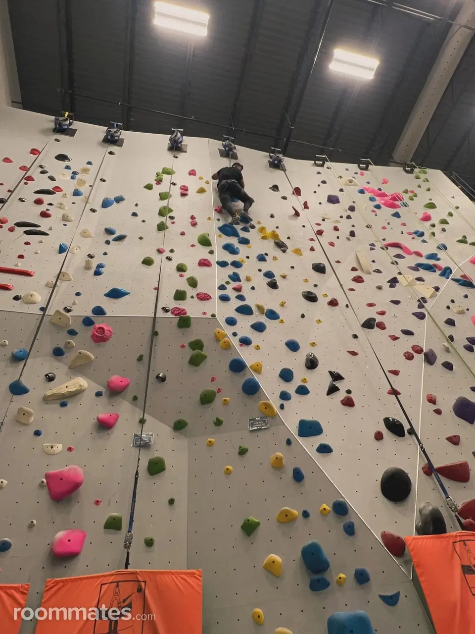 Profile photo 10 of 13