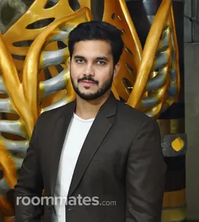 Roommate looking Chicago, IL, $1400