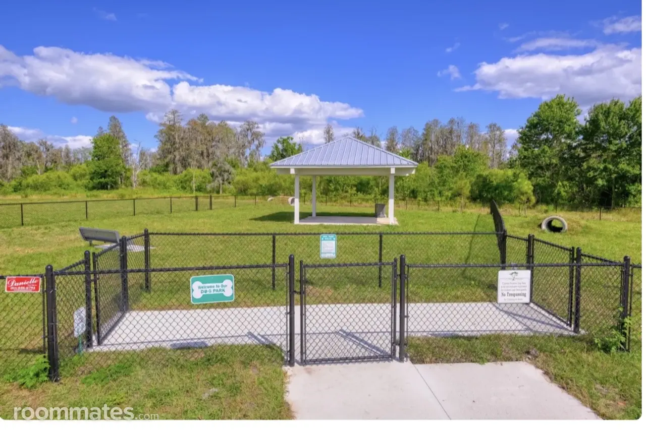 Profile photo 2 of 7