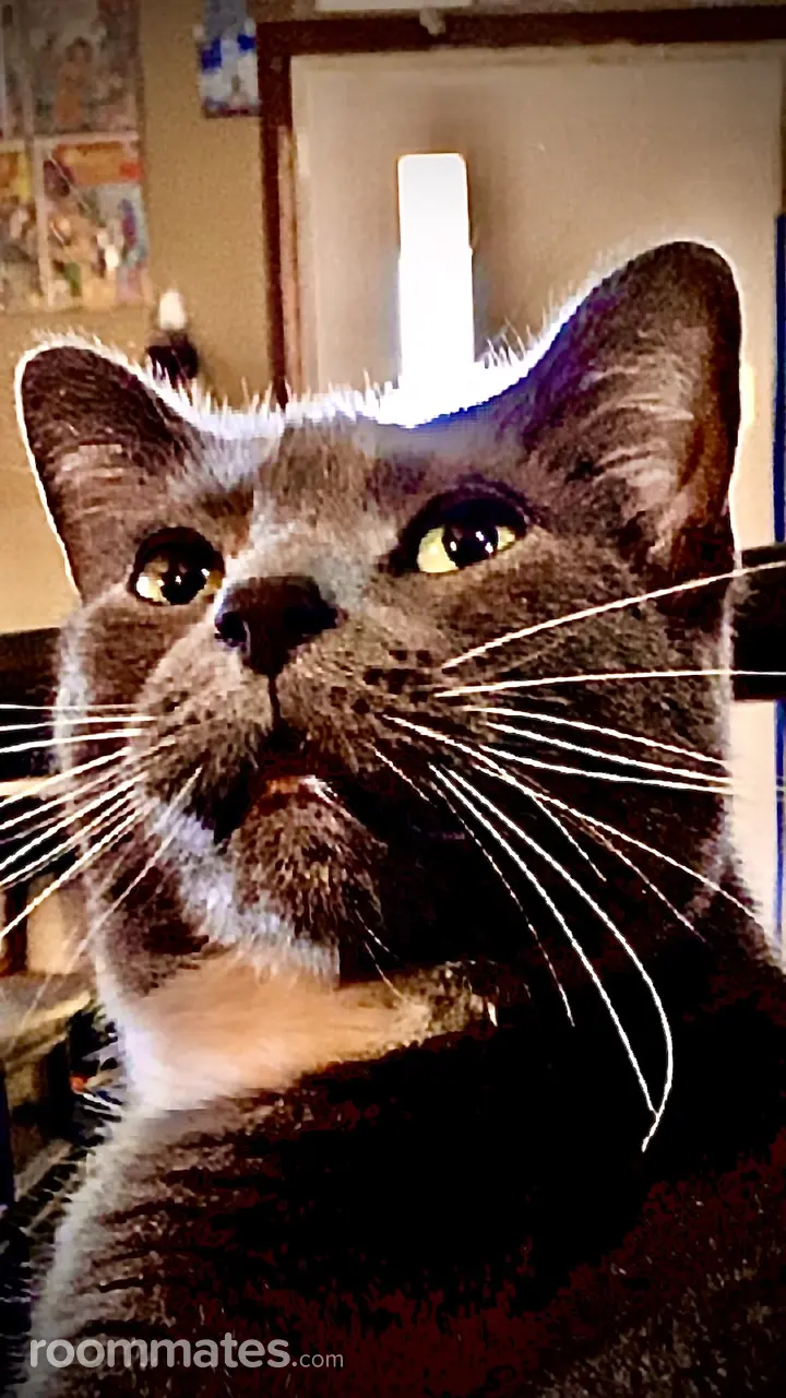 Profile photo 6 of 10