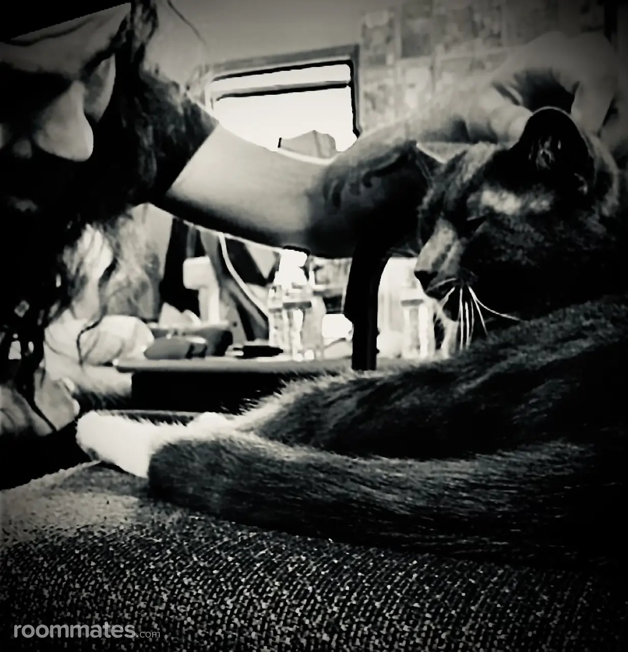 Profile photo 5 of 10