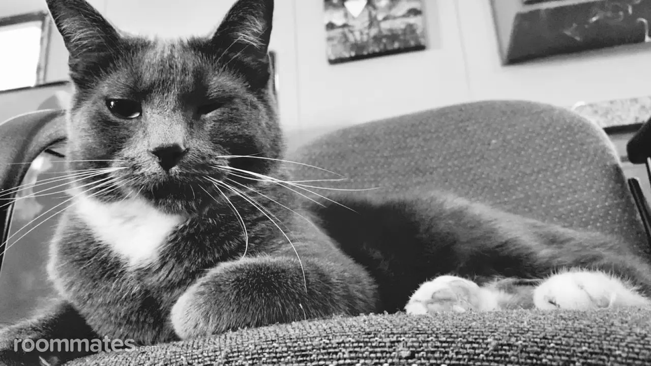 Profile photo 7 of 10