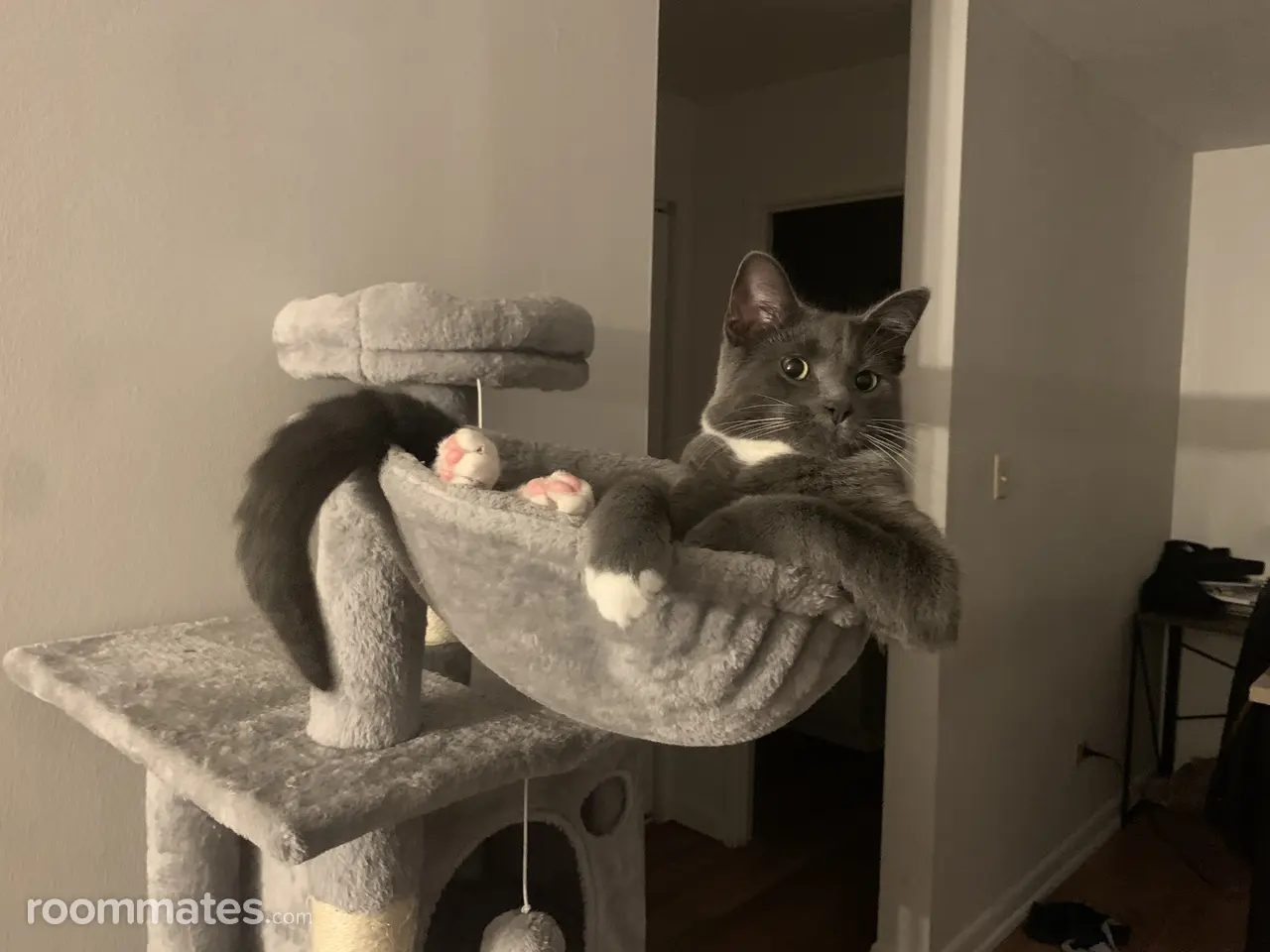 Profile photo 3 of 10