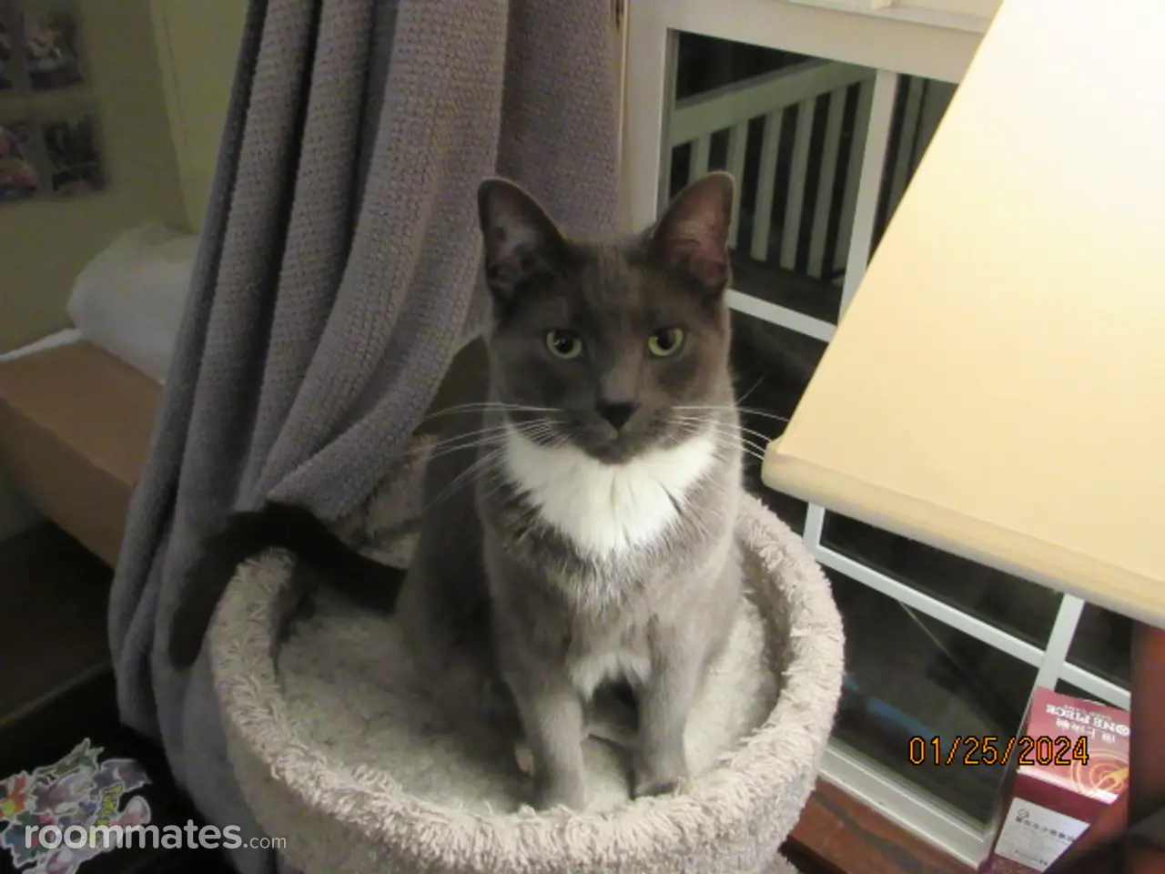 Profile photo 4 of 10