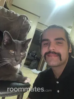 Roommate looking Arlington Heights, IL, $700