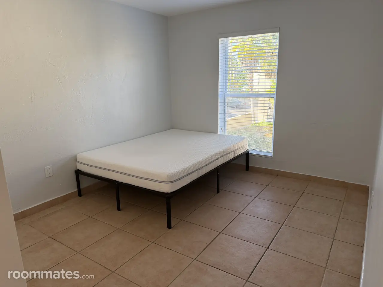 Profile photo 1 of 13