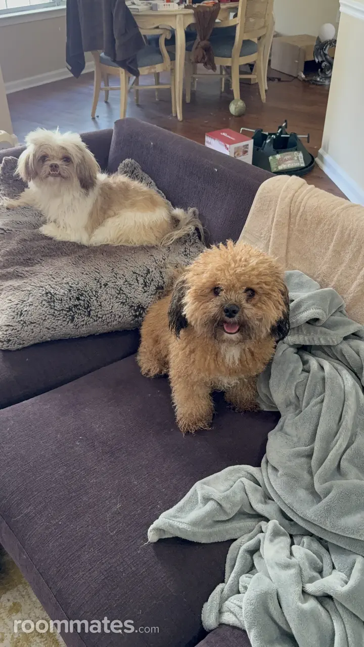 Profile photo 14 of 18