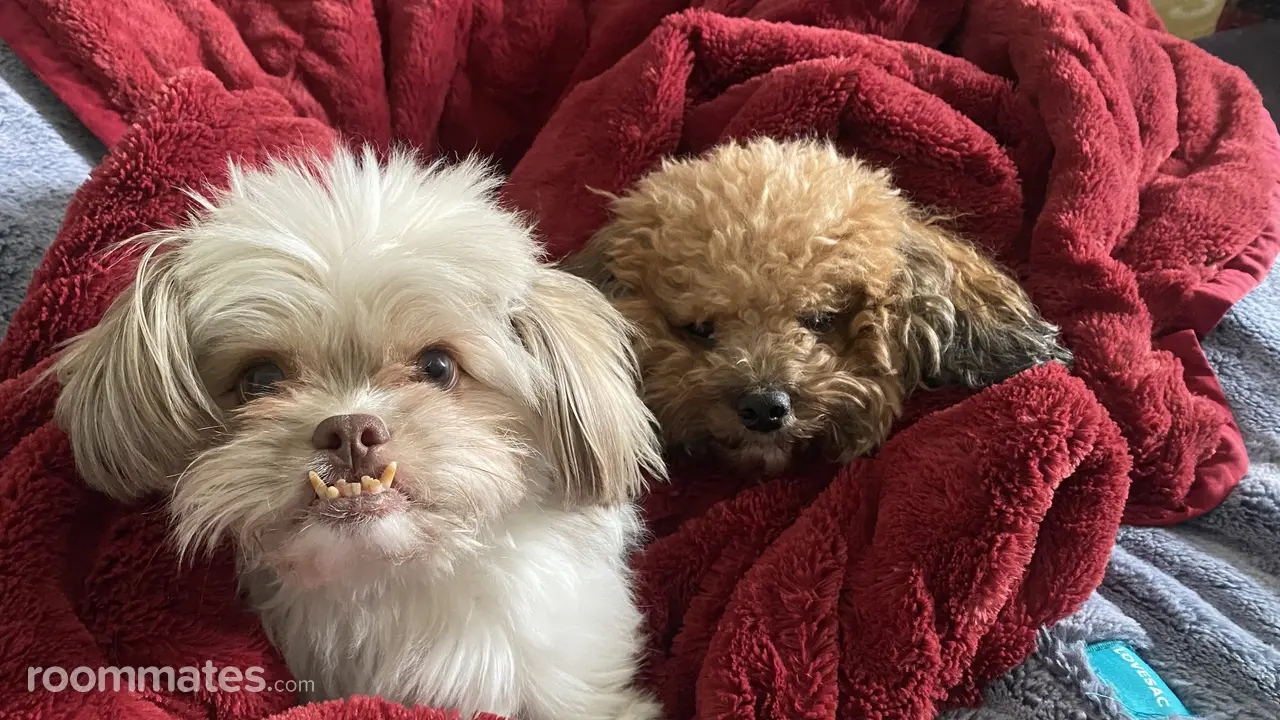 Profile photo 15 of 18