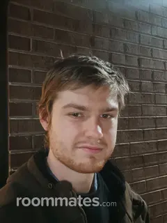 Roommate looking Fort Collins, CO, $700