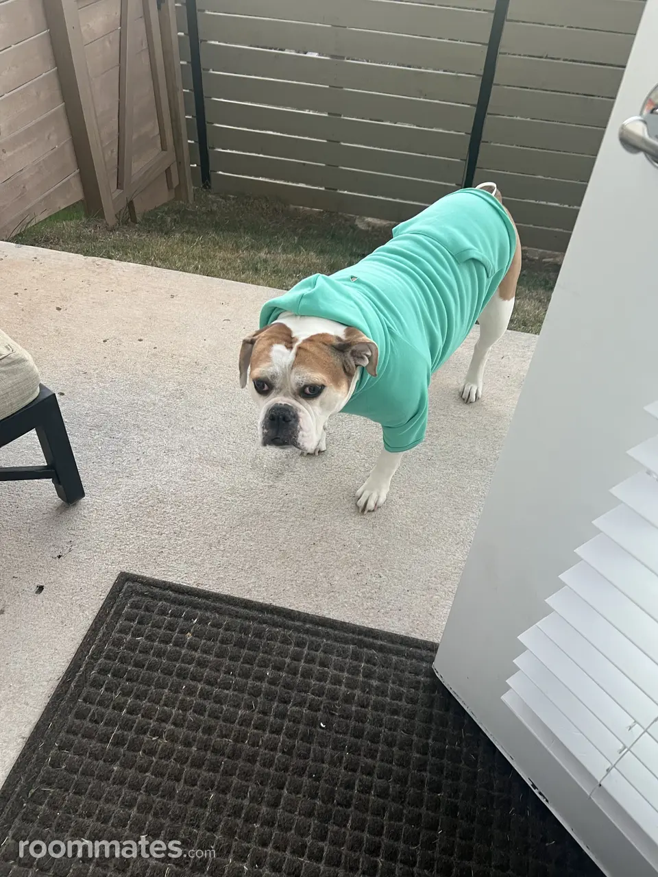 Profile photo 8 of 9